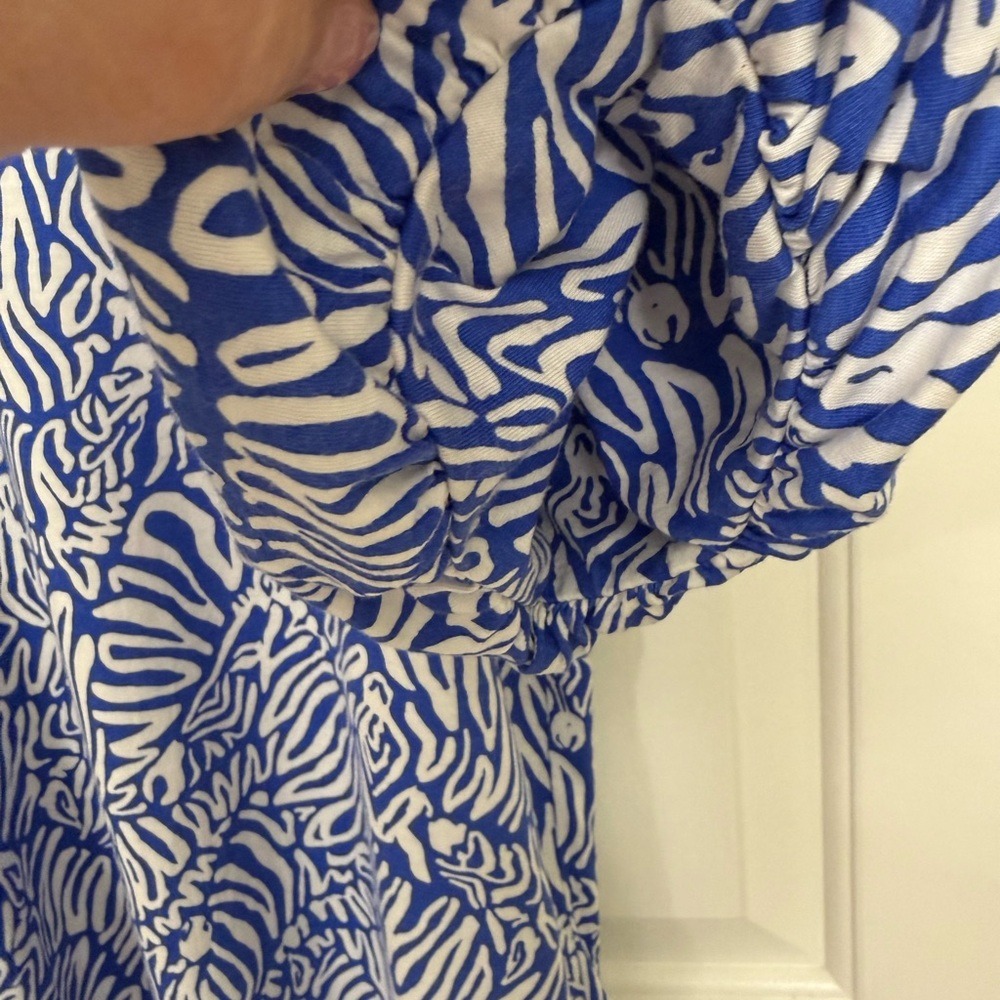 Lilly Pulitzer Blue and White Patterned Short Sleeve Dress - Picture 6 of 7